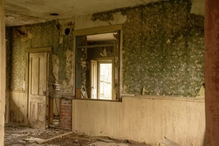 Interior of a home with mold from water damage