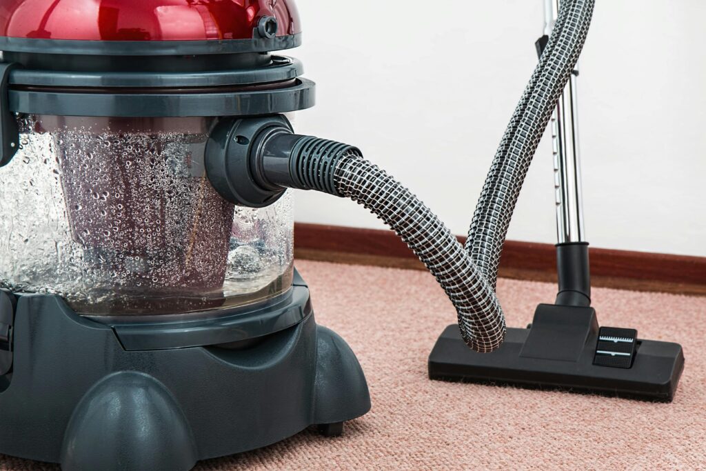 professional carpet cleaning service