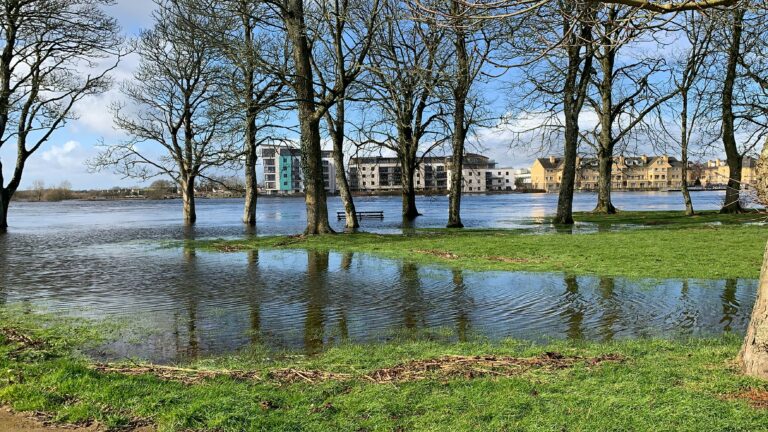 Understanding Flood Damage and Recovery